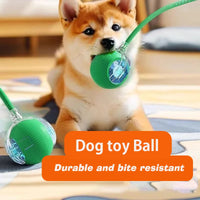 Interactive pet ball detail — photo 3