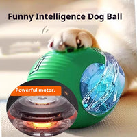 Rolling ball toy with dog — photo 2