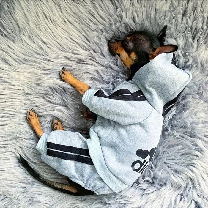 Cozy Winter Jumpsuit for Small Dogs
