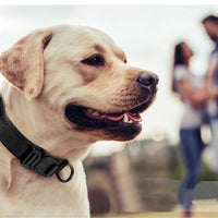 Heavy-Duty Tactical Dog Collar & Leash Set — photo 4