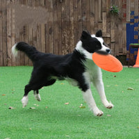 Chew-Resistant Flying Disc for Dogs & Cats — photo 2