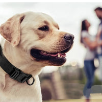 Heavy-Duty Tactical Dog Collar & Leash Set — photo 5