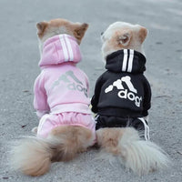 Cozy Winter Jumpsuit for Small Dogs — photo 4