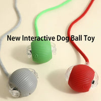Motion-activated pet ball — photo 6
