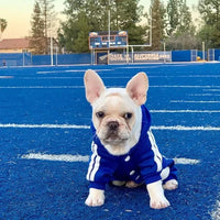 Cozy Winter Jumpsuit for Small Dogs — photo 5