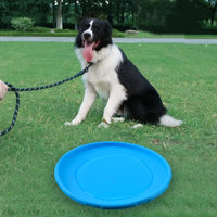 Chew-Resistant Flying Disc for Dogs & Cats — photo 3