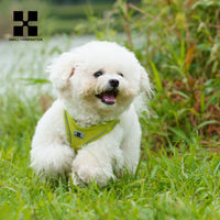 Dog wearing reflective harness — photo 5