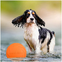Chew-Resistant Flying Disc for Dogs & Cats — photo 5