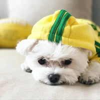 Cozy Winter Jumpsuit for Small Dogs — photo 6