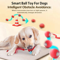 Rechargeable interactive pet toy — photo 5