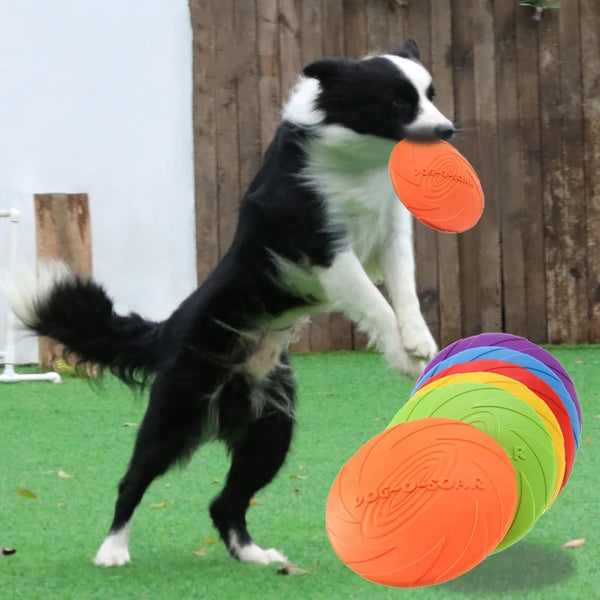 Flying disc toy